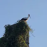 Apartment Storchennest - Mit Kamin, Sauna, Garten, E-piano, Fahrradverleih *