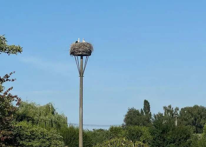 Storchennest - Mit Kamin, Sauna, Garten, E-piano, Fahrradverleih Putlitz