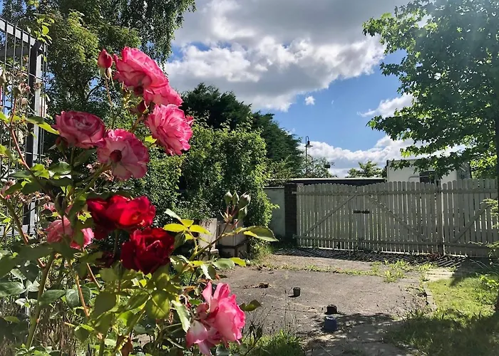 Storchennest - Mit Kamin, Sauna, Garten, E-piano *